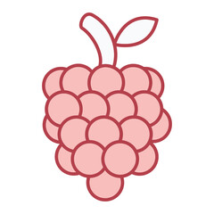 Raspberry Icon Design