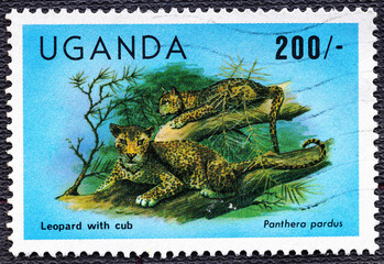 UGANDA - CIRCA 1983: A stamp printed in Uganda shows Leopard with cub, Pantera pardus , circa 1983 © Vladimir