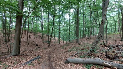 Altenhof am Werbellinsee