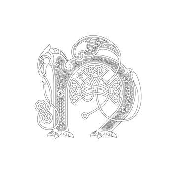 Line Drawing of a Medieval Initial Letter N combining animal body parts from a Horse and Dragons and endless Celtic knot ornaments
