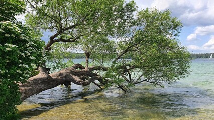 Altenhof am Werbellinsee