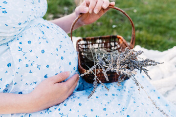 Pregnant lady belly and basket with dried lavender