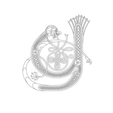 Line Drawing of a Medieval Initial Letter Y combining animal body parts from a Dog and a Dragon with endless Celtic knot ornaments