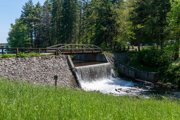 summer day at the falls