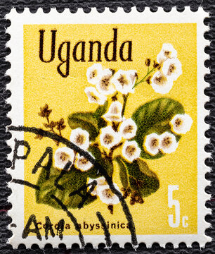 UGANDA - CIRCA 1969: A stamp printed in Uganda shows Cordia abyssinica Flower, circa 1969