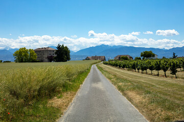 Fototapeta na wymiar Route de campagne à St-Prex en Suisse