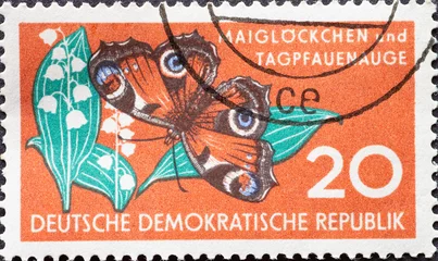 Foto auf Glas GERMANY, DDR - CIRCA 1959 a postage stamp from GERMANY, DDR, showing a Butterfly Peacock Butterfly (Vanessa io) and Lily of the Valley (Convallaria majalis) . Circa 1959 © zabanski