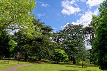 Fototapeta na wymiar Garden inside of the Warwick Castle grounds - England