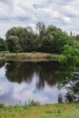 Green forest nature river landscape scene reflective water