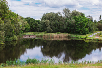 Fototapeta na wymiar Green forest nature river landscape scene reflective water