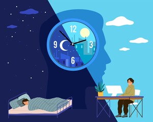 Human biological clock. Time for sleep and work, man in bed at night and working at computer during day, healthy lifestyle. Harmonious circadian rhythm, vector cartoon flat concept