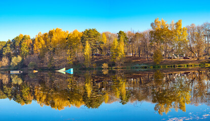 display of autumn forest in water