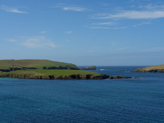 Frühling auf den Shetland-Inseln