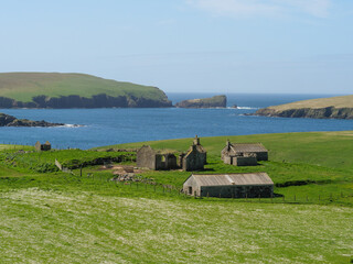 Frühling auf den Shetland-Inseln