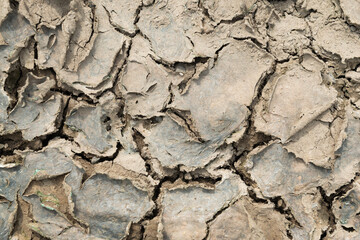 cracked earth texture pattern
