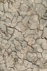 dry cracked earth texture background