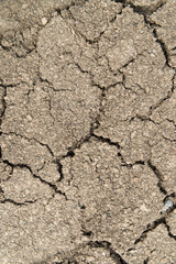 cracked earth texture pattern