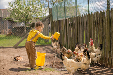 Girl with pigtails dressed in rustic-style jumpsuit feeds chickens with grass and pours water from bucket. Poultry farming on farm. Life and childhood in village. Child in backyard with animals © Maryna