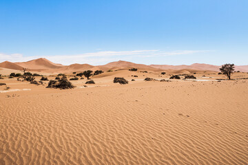 Fototapeta na wymiar red desert sand