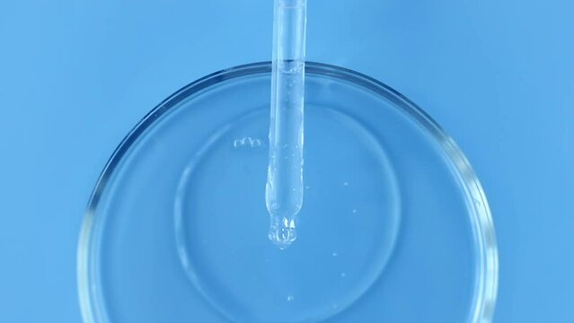 serum pipette with a falling drop into a petri dish on a blue background