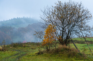 Cloudy and foggy autumn mountains scene. Peaceful picturesque traveling, seasonal, nature and countryside beauty concept scene. Carpathian Mountains, Ukraine.