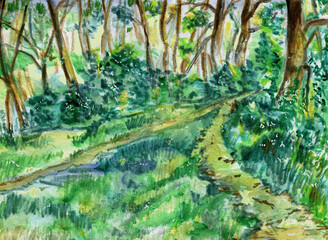 Landscape with forest. Drawn by hand with watercolor pencils