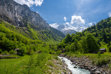Fototapeta na wymiar alpine river with green meadow and Alps in Lauterbrunnen in Switzerland