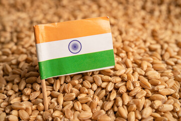 Grains wheat with India flag, trade export and economy concept. - obrazy, fototapety, plakaty