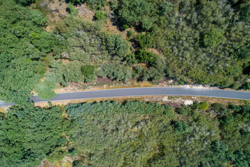 Drone aerial view of a road through holm oak trees, vertical photo