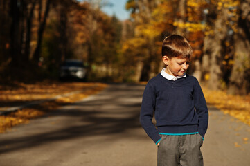 Young boy wear polo shirt and classic sweater pose in autumn background.