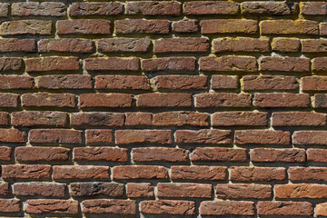 Wall Texture full of brick