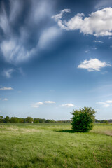 The perfect landscape of fields in a sunny day with perfect clouds in the sky