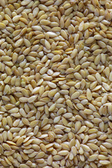 White flax seeds pattern macro photography. Flax seeds texture closeup photo.