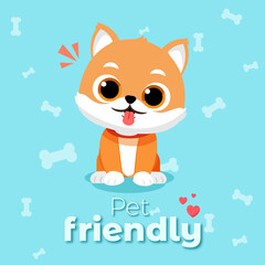 pet friendly post for veterinary and business social networks with dog