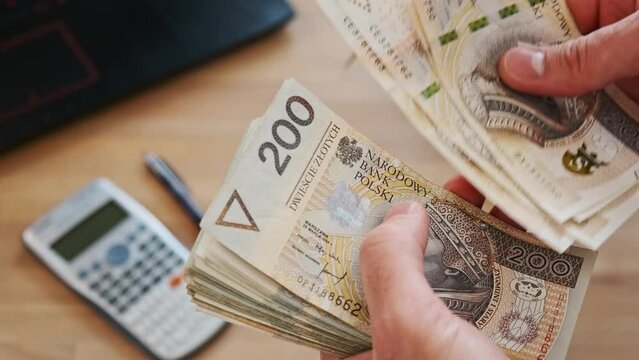A man counts cash in his hands - Close Up - Polish currency - PLN