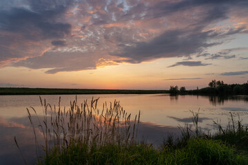 Sunset over the lake. The clouds and sky are pink. Reflection in the water. Reeds grow on the shore.