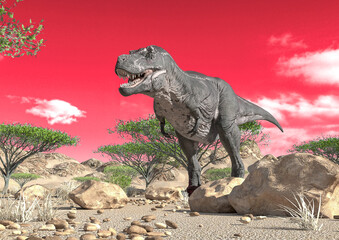 tyrannosaurus alone on desert