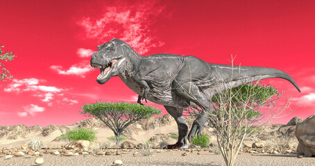 tyrannosaurus is walking alone on desert panoramic view