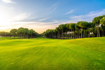 Golf course at sunset with beautiful blue sky. Scenic panoramic view of perfect golf fairway. Golf...