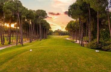 Tee box area at golf course at sunset with beautiful sky. Scenic panoramic view of golf fairway. Golf field with pines