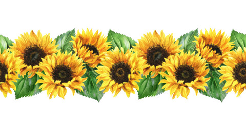 watercolor summer flowers – sunflowers, botanical illustration