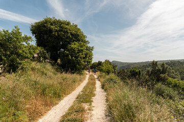 Fototapeta na wymiar People walking down a path, on a sunny summer day.