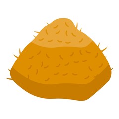 Bale icon isometric vector. Farm straw. Wheat grass
