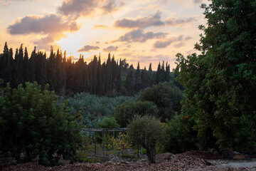 A city images from churches to old historic houses and destinations to the Phoenician wall of Batroun, Lebanon