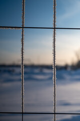 Very cold fence with snow flakes in winter