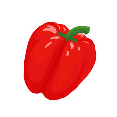 Red bell pepper cartoon vector illustration. Isolated bulgarian sweet red pepper on white background.