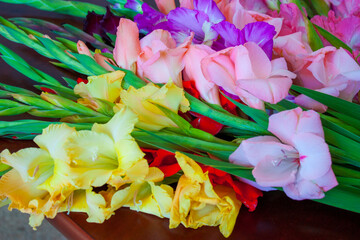 Gladiolus different colors , pink and yellow Gladiolus flower, Gladioli, sword-Lilies close up