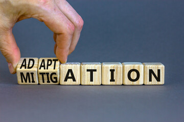 Adaptation or mitigation symbol. Businessman turns cubes and changes the concept word Mitigation to...