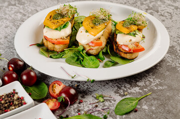 Croutons snacks with tomatoes, melted cheese and herbs on concrete background