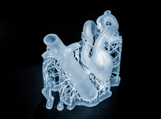 3D printed human heart prototype close-up. Object photopolymer printed on stereolithography 3D...